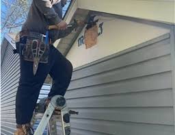 Best Siding Painting and Refinishing  in Wedgefield, FL